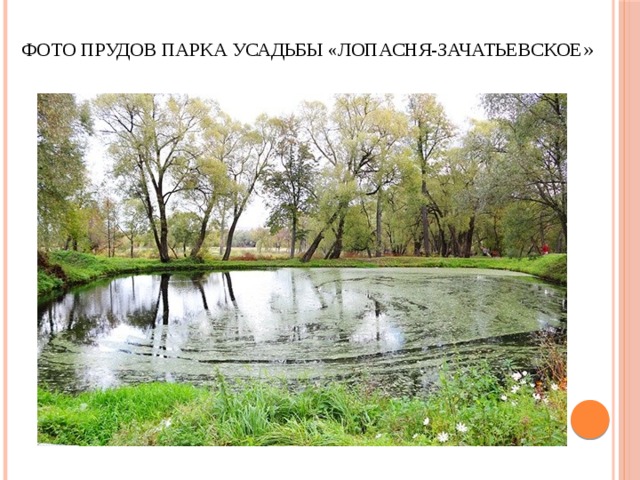 Фото прудов парка усадьбы «Лопасня-Зачатьевское » 