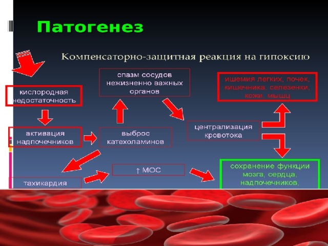 Острая и хроническая гипоксия. Тканевая гипоксия механизм развития. Патогенез гипоксии патофизиология.