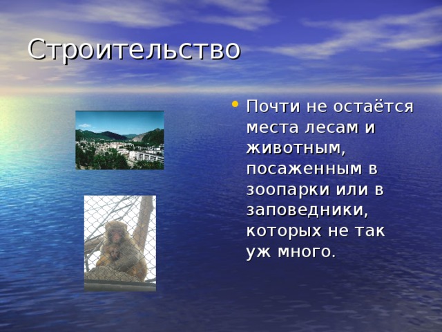 Почти не остаётся места лесам и животным, посаженным в зоопарки или в заповедники, которых не так уж много. 