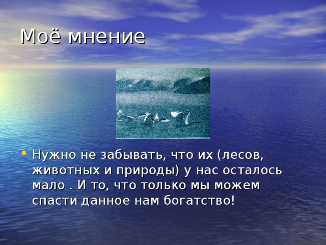 Нужно не забывать, что их (лесов, животных и природы) у нас осталось мало . И то, что только мы можем спасти данное нам богатство! 