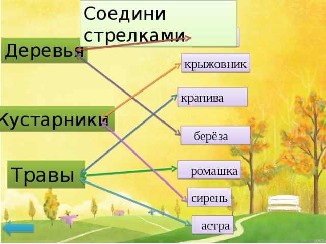 Найди на рисунках объекты природы и соедини их стрелками с соответствующим словом понятием