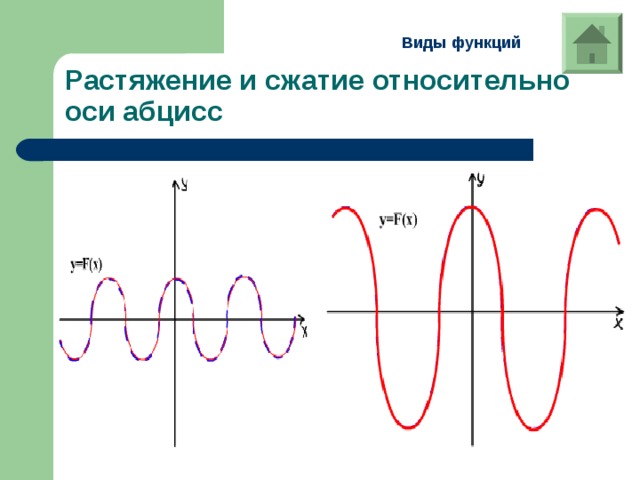 Виды функций Растяжение и сжатие относительно оси абцисс 