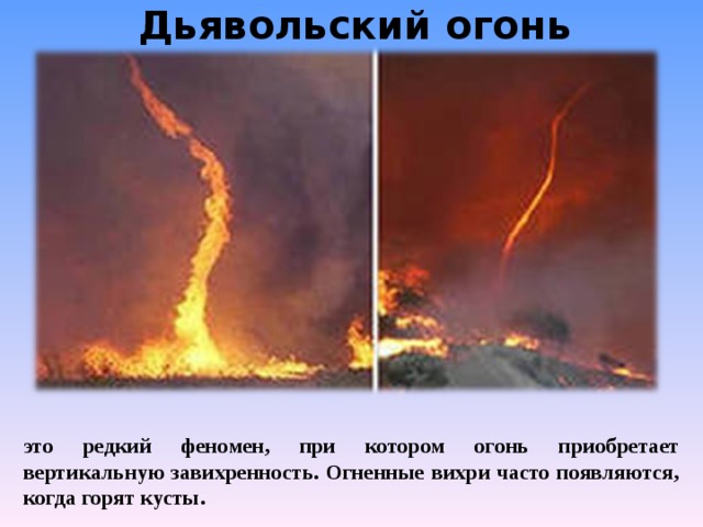 Дьявольский огонь   это редкий феномен, при котором огонь приобретает вертикальную завихренность. Огненные вихри часто появляются, когда горят кусты. 