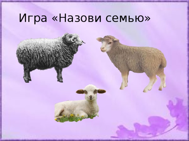 Назови семейные. Назови семью. Игра назови семью. Д/И «назови семью». Игра назови семью домашних животных.