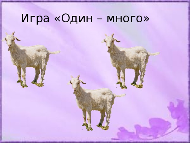 Игра один много. Один много домашние животные. Игра один много животные. Игра один много домашние животные. Дидактическая игра один много домашние животные.