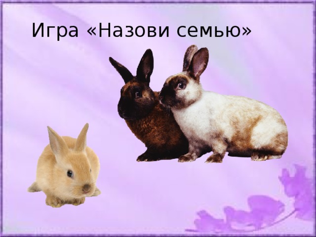 Назови семейные