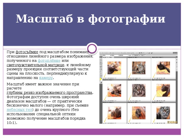Масштаб в фотографии При   фотосъёмке  под масштабом понимают отношение линейного размера изображения, полученного на  фотоплёнке  или  светочувствительной матрице , к линейному размеру проекции соответствующей части сцены на плоскость, перпендикулярную к направлению на  камеру . Масштаб имеет важное значение при расчете  глубины резко изображаемого пространства . Фотографам доступен очень широкий диапазон масштабов — от практически бесконечно малого (например, при съемке  небесных тел ) до очень крупного (без использования специальной оптики возможно получение масштабов порядка 10:1). 