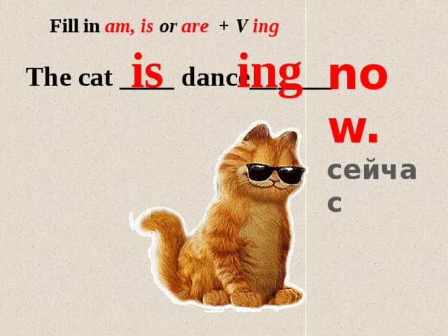 Fill in  am, is or are + V ing is ing now. сейчас The cat ____ dance______ 