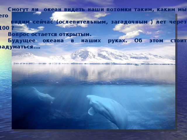 Смогут ли океан видеть наши потомки таким, каким мы его  видим сейчас (ослепительным, загадочным ) лет через 100 ? Вопрос остается открытым. Будущее океана в наших руках. Об этом стоит задуматься…. 