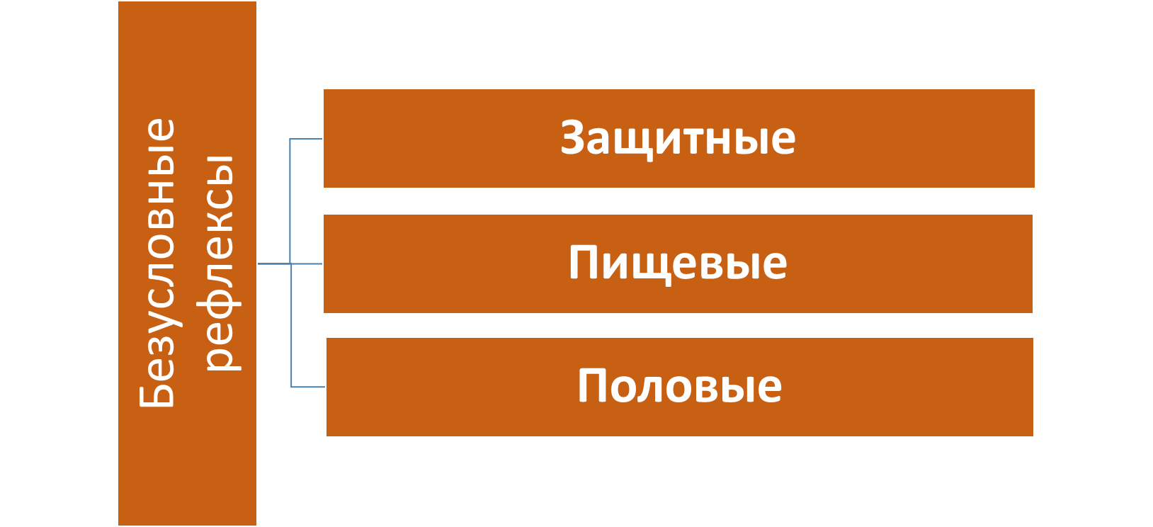 Приобретенные формы поведения таблица