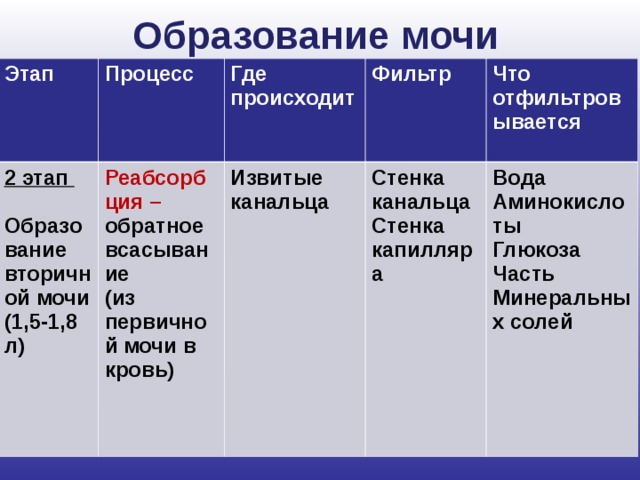 Образование мочи Этап Процесс 2 этап  Образование вторичной мочи (1,5-1,8 л) Где происходит Реабсорбция – обратное всасывание Фильтр (из первичной мочи в кровь) Извитые канальца Что отфильтровывается Стенка канальца Стенка капилляра Вода Аминокислоты Глюкоза Часть Минеральных солей 