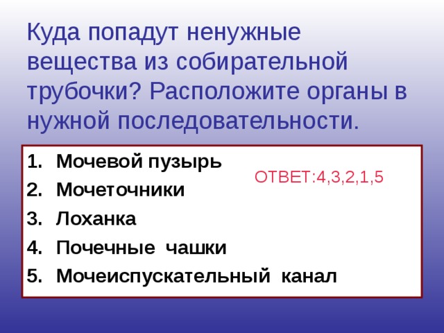 Куда попадут ненужные вещества из собирательной трубочки? Расположите органы в нужной последовательности. Мочевой пузырь Мочеточники Лоханка Почечные чашки Мочеиспускательный канал ОТВЕТ:4,3,2,1,5  Куда попадут ненужные вещества из собирательной трубочки? Расположите органы в нужной последовательности. Мочевой пузырь Мочеточники Лоханка Почечные чашки Мочеиспускательный канал *Ответ: 4,3,2,1,5 (В почечные чашки, лоханку, мочеточники, мочевой пузырь, мочеиспускательный канал)  