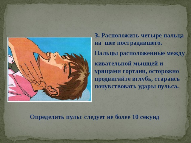 3 . Расположить четыре пальца на шее пострадавшего. Пальцы расположенные между кивательной мышцей и хрящами гортани, осторожно продвигайте вглубь, стараясь почувствовать удары пульса. Определять пульс следует не более 10 секунд 