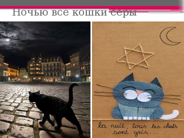 Ночью все кошки серы