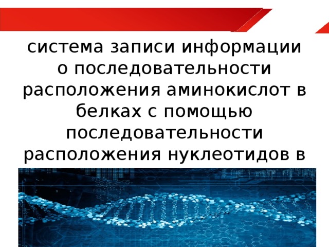 В видеопамяти хранится информация о последовательности кадров