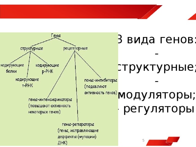 Вид гена. Виды структурных генов. Гены виды. 3 Вида генов. Структурные гены виды.