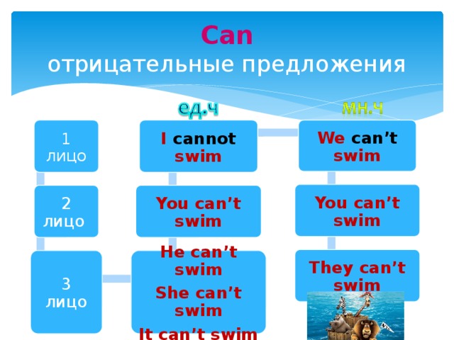 I cant swim. Отрицательные предложения с can. Предложения с can отрицание. Предложение на английском с отрицанием с can. Отрицательные предложения с can на английском.