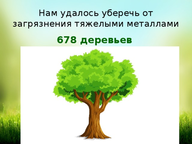 Нам удалось уберечь от загрязнения тяжелыми металлами 678 деревьев 