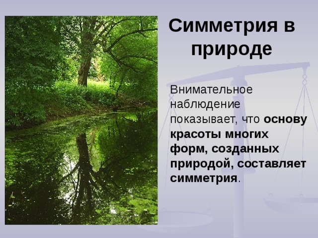 Симметрия  в природе Внимательное наблюдение показывает, что основу красоты многих форм, созданных природой, составляет симметрия . 