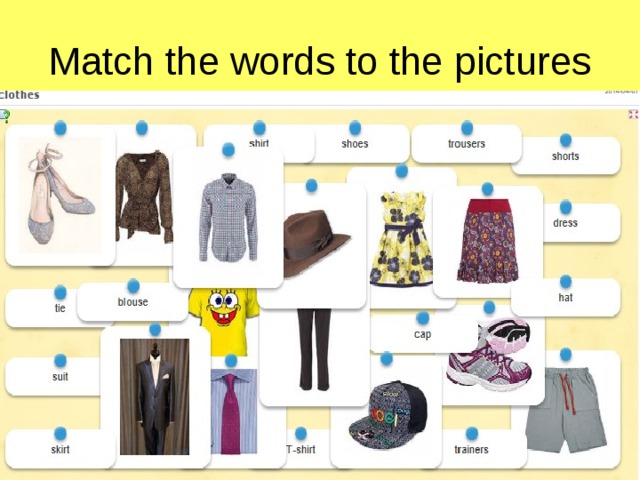 Match the words to the pictures 