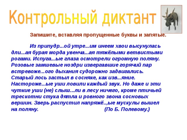 Диктант древний город. Текст из припудренной утренним инеем. Из припудренной утренним инеем хвои. Припудр..(н/НН)Ой(. В припудренной утренним инеем хвои высунулась длинная бурая морда.