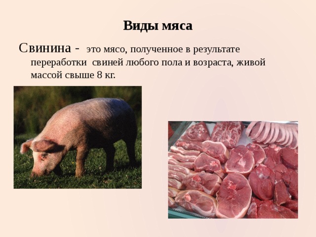 Виды свиного мяса с фото