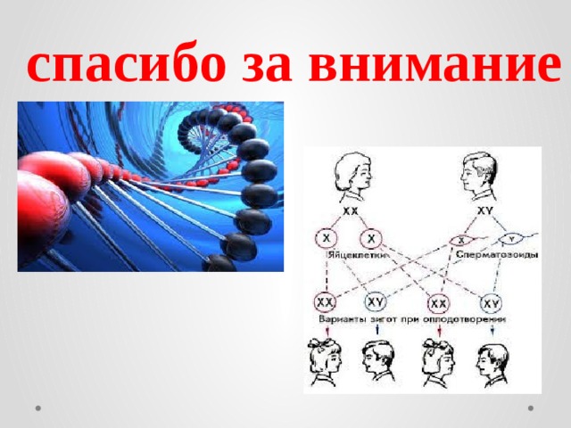 Биология 9 класс генетические