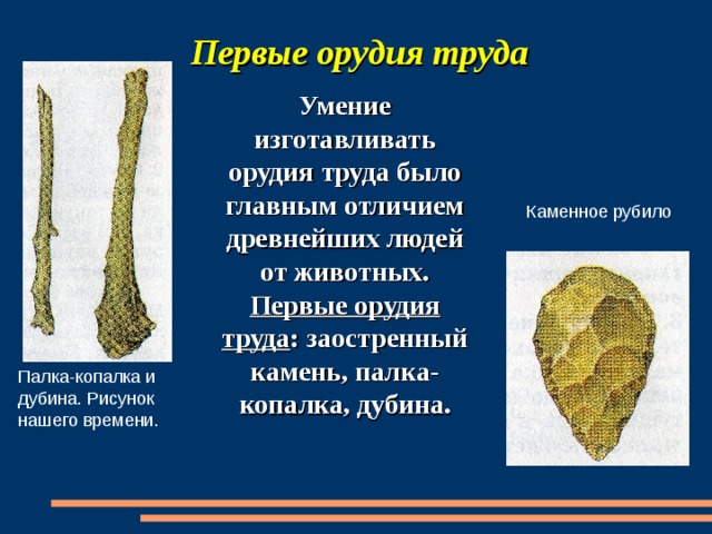Палка копалка рисунок
