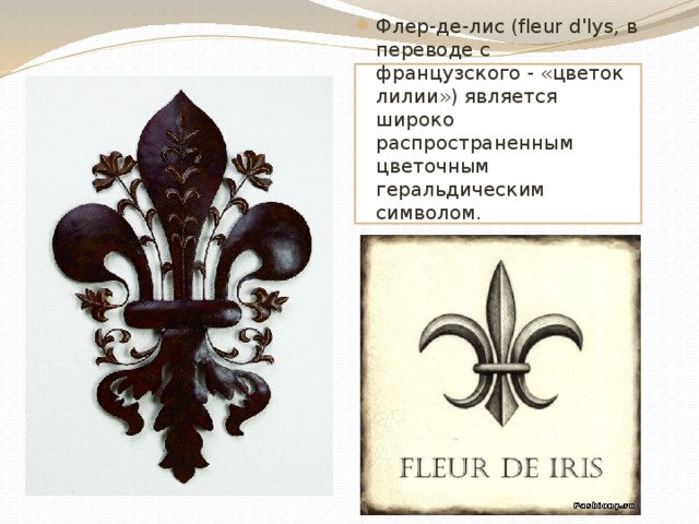 Флер это простыми словами. Королевская Лилия символ Франции. Лилия французских королей Геральдическая. Символы Франции Геральдическая Лилия. Королевская Лилия символ.