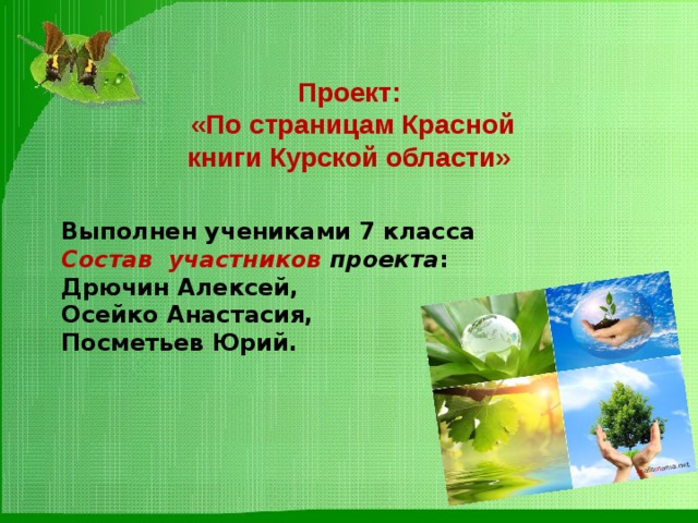 Проект:  «По страницам Красной книги Курской области» Выполнен учениками 7 класса Состав  участников проекта : Дрючин Алексей, Осейко Анастасия, Посметьев Юрий. 