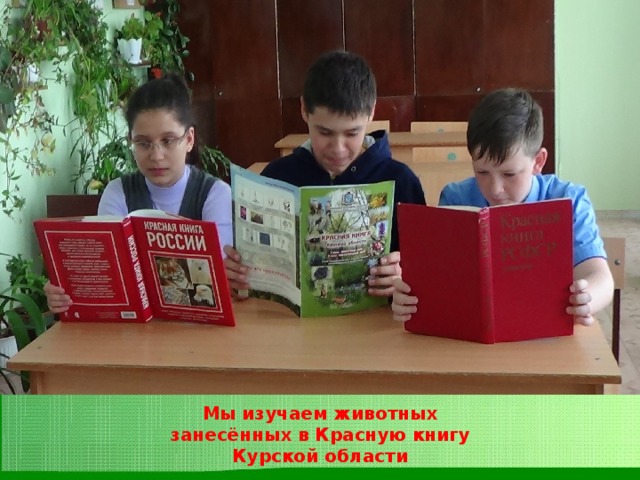 Мы изучаем животных занесённых в Красную книгу Курской области 