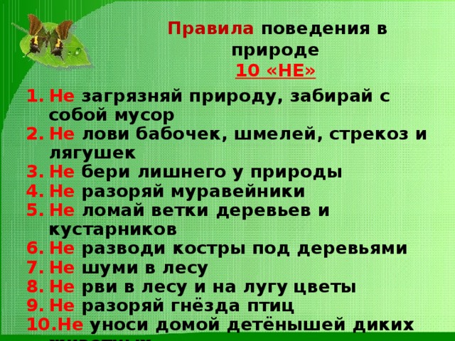  Правила поведения в природе  10 «НЕ» Не загрязняй природу, забирай с собой мусор Не лови бабочек, шмелей, стрекоз и лягушек Не бери лишнего у природы Не разоряй муравейники Не ломай ветки деревьев и кустарников Не разводи костры под деревьями Не шуми в лесу Не рви в лесу и на лугу цветы Не разоряй гнёзда птиц Не уноси домой детёнышей диких животных 