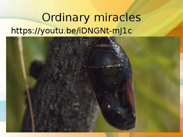 Ordinary miracles https://youtu.be/iDNGNt-mJ1c 