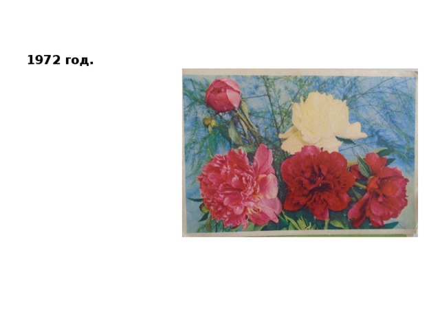 1972 год. 