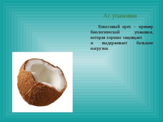  Ас упаковки  Кокосовый орех – пример биологической упаковки, которая хорошо защищает и выдерживает большие нагрузки. 
