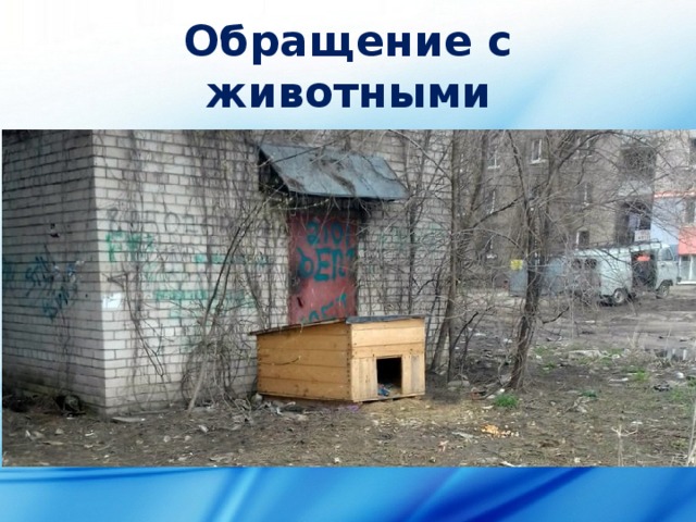 Обращение с животными 