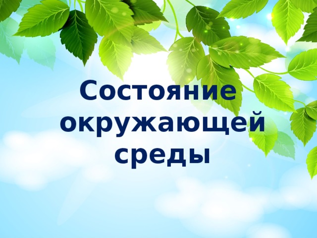 Состояние окружающей среды 