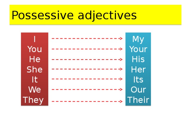 Possessive adjectives презентация