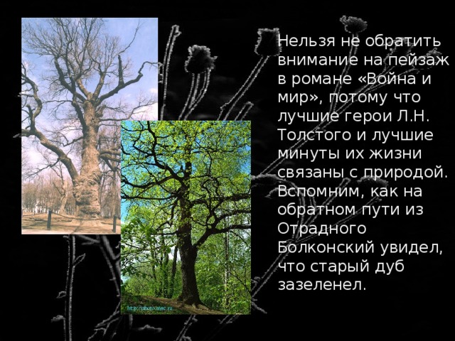 Функции пейзажа в романе. Пейзаж в романе Толстого. Пейзаж в романе война и мир. Пейзаж в романе война. Изображение природы в романе война и мир.