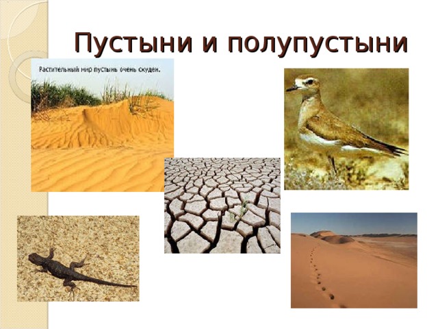 Зона пустынь и полупустынь на карте. Пустыни и полупустыни России животный мир. Обитатели пустыни и полупустыни. Животный мир пустынь и полупустынь. Тропические пустыни животные.