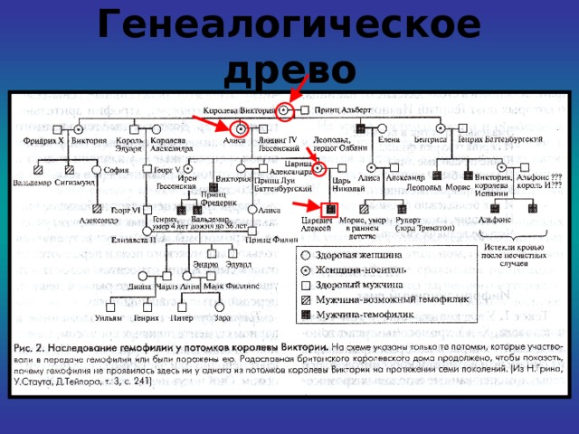 Генеалогический форум