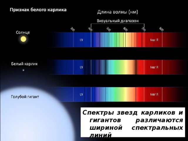 Спектры звезд карликов и гигантов различаются шириной спектральных линий 