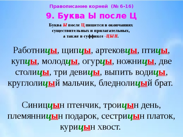 Буква после ц в окончании существительных