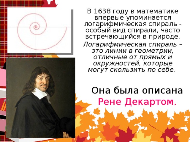 В 1638 году в математике впервые упоминается логарифмическая спираль - особый вид спирали, часто встречающийся в природе. Логарифмическая спираль – это линии в геометрии, отличные от прямых и окружностей, которые могут скользить по себе. Она была описана Рене Декартом.