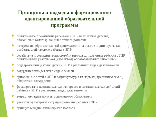 Образец адаптированной программы