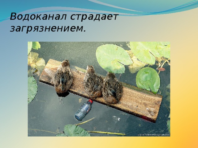 Водоканал страдает загрязнением. 
