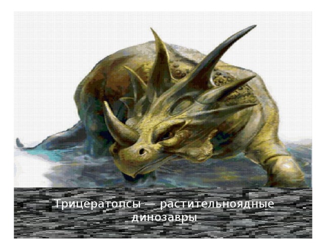 Трицератопсы — растительноядные динозавры 