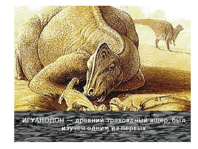 ИГУАНОДОН — древний травоядный ящер, был изучен одним из первых 