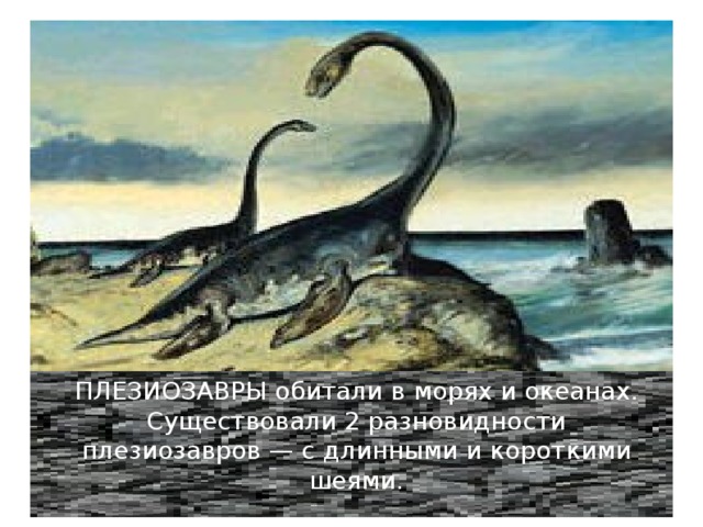 ПЛЕЗИОЗАВРЫ обитали в морях и океанах. Существовали 2 разновидности плезиозавров — с длинными и короткими шеями. 
