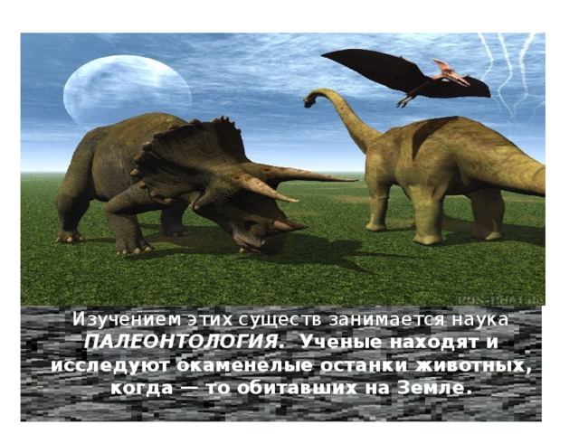Изучением этих существ занимается наука ПАЛЕОНТОЛОГИЯ. Ученые находят и исследуют окаменелые останки животных, когда — то обитавших на Земле. 